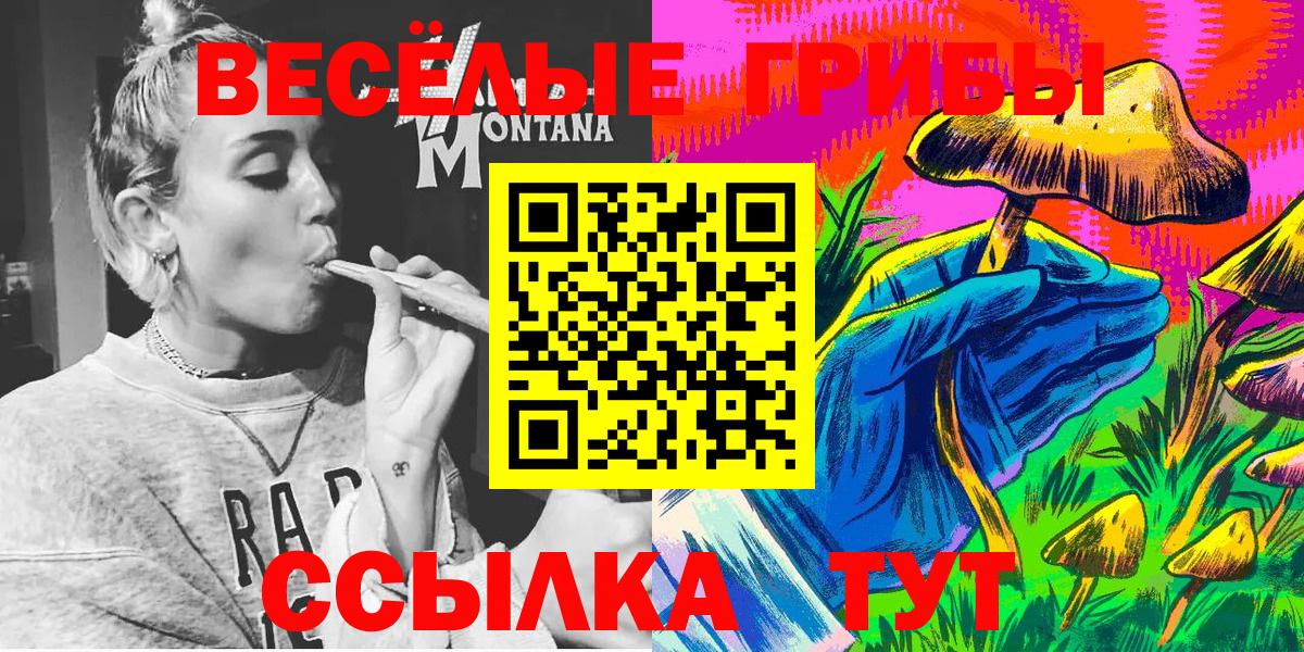 Псилоцибиновые грибы Cubensis  Вход с VPN  Галлюциногенные грибы прущие грибы  Шадринск 